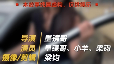【元征网剧】专业